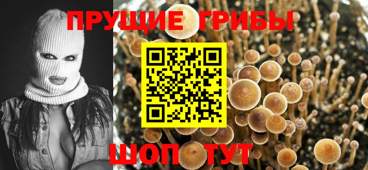 Псилоцибиновые грибы мухоморы  Вход с VPN  купить наркоту  Узловая 