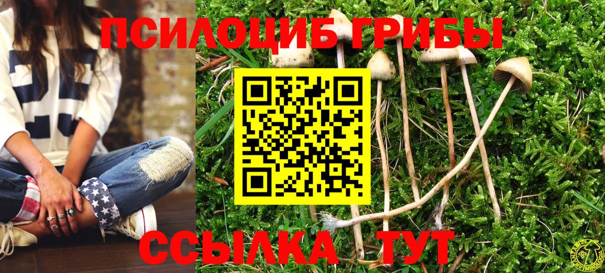 Псилоцибиновые грибы прущие грибы Узловая